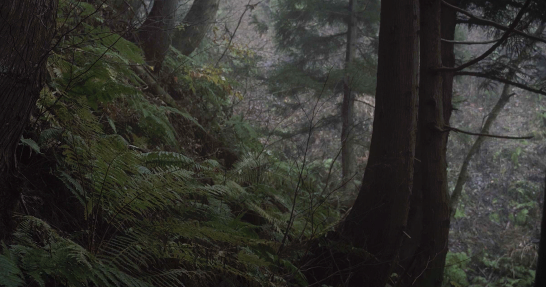 KUROKOHAKUが語る、 人のコントロールに収まることのない 自然の境地とは